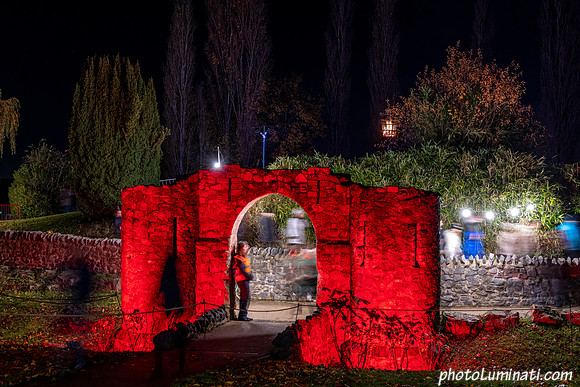 Remembrance 100-181