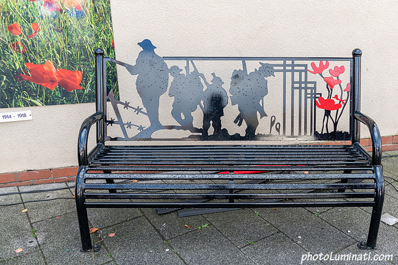Remembrance 100-130
