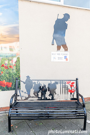 Remembrance 100-131