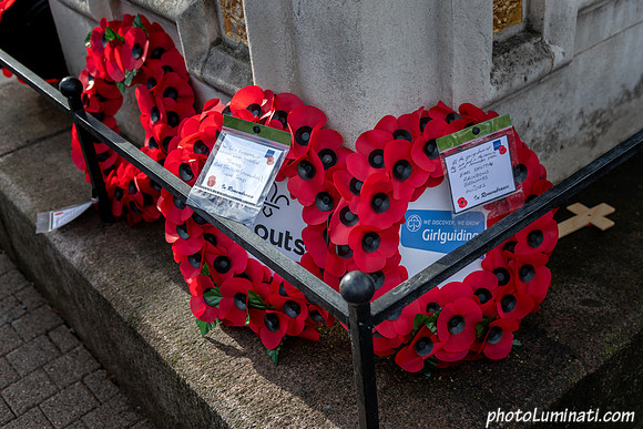 Remembrance 100-117