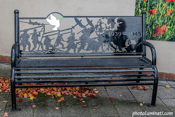 Remembrance 100-128