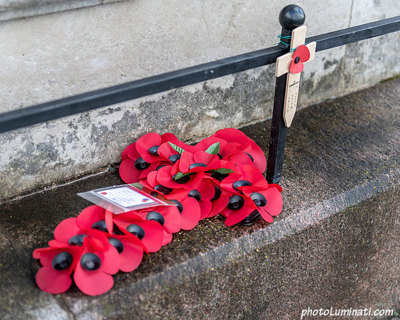 Remembrance 100-122