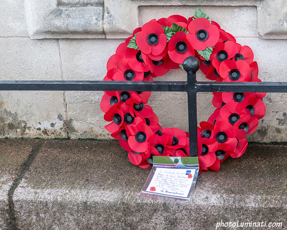Remembrance 100-126