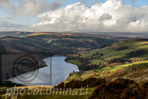 Derbyshire