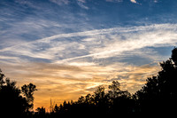 Raleigh sunset