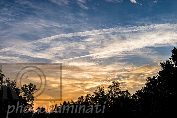 Raleigh sunset