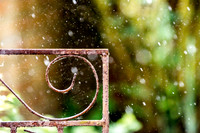 May Rain at 1/1000 second
