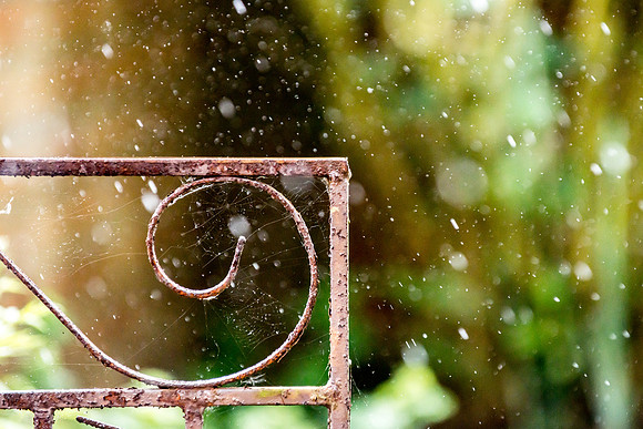 May Rain at 1/1000 second