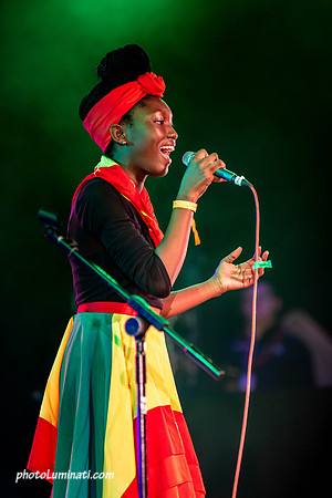 C2019-774